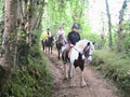 Tipperary Mountain Trekking Centre image 2