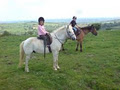 Tipperary Mountain Trekking Centre image 5