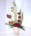 kays florist image 3