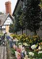 Blessington Street Basin image 2