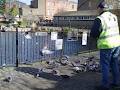 Blessington Street Basin image 3