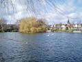 Blessington Street Basin image 1