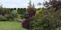 Camellia Landscapes - Landscaping Services Cork logo