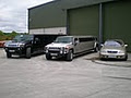 Celtic Limos image 2