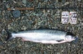 Culfin Fishery image 2