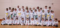 Greystones Taekwon-Do image 6