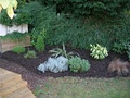 Jeff Miller Landscaping image 3