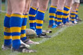 Monkstown Rugby Club logo