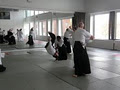 Nenagh Aikido Club logo