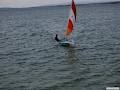 Selkie Sailing image 5