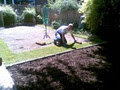 Tony's Landscape & Garden Maintenance image 2