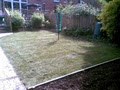 Tony's Landscape & Garden Maintenance image 3