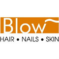 Blow Salon logo