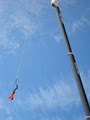 Bungee Ireland Ltd image 4