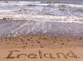 English Homestay Ireland image 2