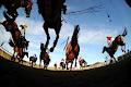 Navan Racecourse image 4