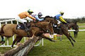 Navan Racecourse logo