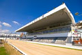 Shelbourne Park Greyhound Stadium logo