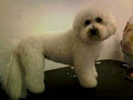 The Doggie Shop, Dog Grooming, Carrickmines image 5