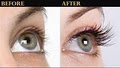 Eyelash Extension In Shannon logo