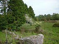 Macroom Land Trust image 2