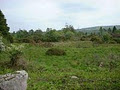 Macroom Land Trust image 3